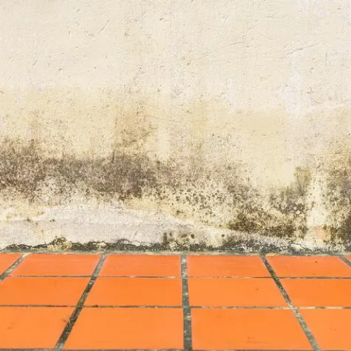 remontée capillaire